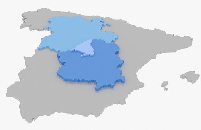 ELECCIONES ASAMBLEA REGIONAL PARA ELEGIR EL DELEGADO DE LA ZONA CENTRO El día 28 de febrero se celebrará la Asamblea Regional (Región 4: Madrid, Castilla La Mancha y Castilla león).