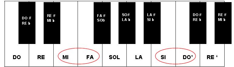 Les notes Si, Mi i La seran bemolls, un semitò més baixes 11. TO I SEMITÒ La distància més petita entre dues notes del sistema musical és un semitò. Un to és la suma de dos semitons.