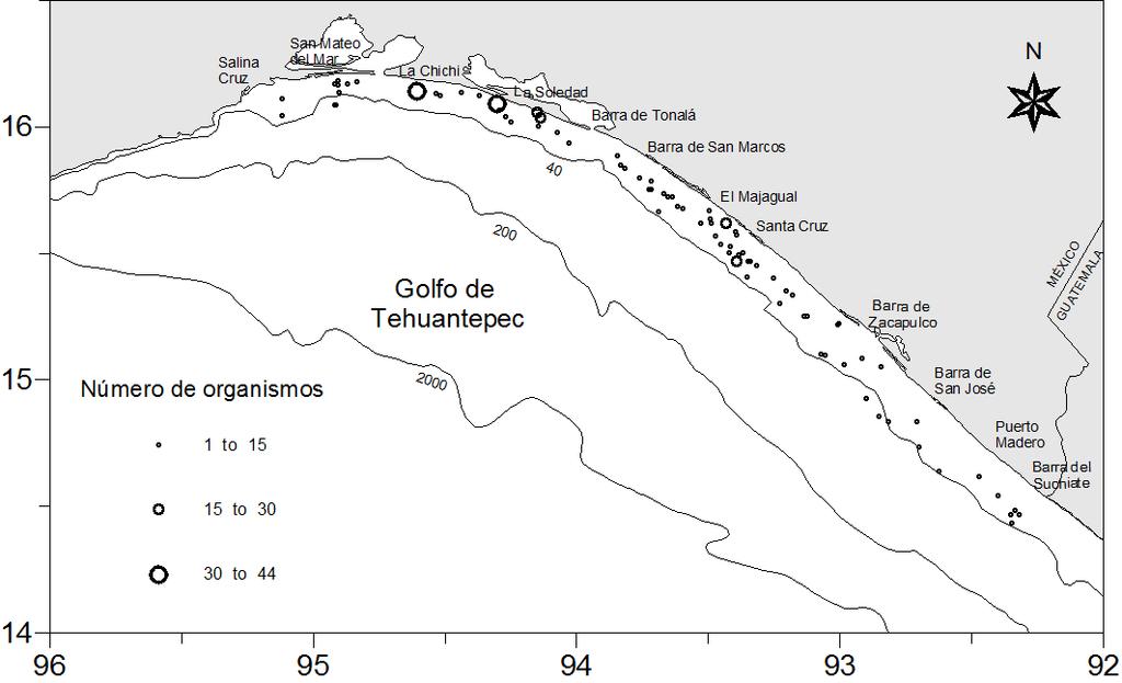 Figura 50. Mapa de densidad de hembras grávidas de peces batoideos en el Golfo de Tehuantepec VI.10 Ejemplares colectados Se colectaron 12 organismos de las especies Z. xyster, U. cimar, U.
