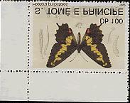 Lepidoptera : Papilionidae + Lepidoptera : Papilionidae