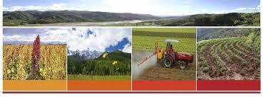 Diseñar la política nacional de tierra y territorio. Supervisar el trabajo del INRA, convocar y dirigir la Comisión Agraria Nacional y departamental.