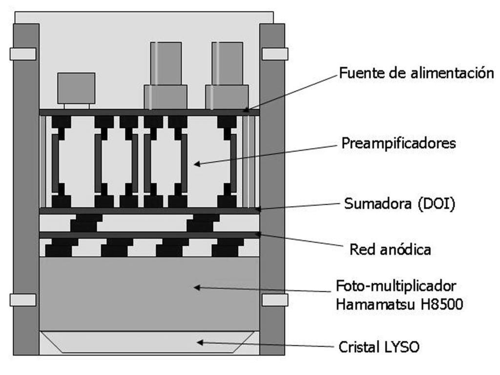 Diseño y primeros resultados de una cámara PET para animales pequeños basada en cristales LYSO continuos 317 Fig. 2. Ejemplos de la distribución de la luz generada en el fotodetector.