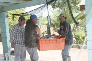 Monitoreo El derecho asignado en Manejo Compartido por Cuotas implica varias responsabilidades para los cuota-habientes, entre ellas el participar y apoyar un sistema de monitoreo pesquero.
