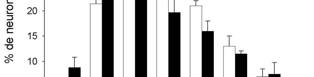 Las puntas de flecha negras indican CB 1 +/Enk- en A y B; CB 1 +/SP- en C y D.
