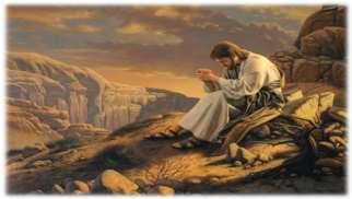 Y acercándose el tentador, le dijo: «Si eres Hijo de Dios, di que estas piedras se conviertan en panes.