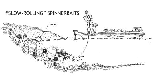 PESCA SLOW-ROLLING CON SPINNERBAITS Selecciona un modelo de spinnerbait de acuerdo a la profundidad del área que vayas a pescar.
