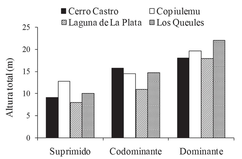 Gayana Bot. 70(1), 2013 con mayor proporción de daño (semillas perforadas) que las semillas recolectadas en los bosques de la cordillera de la Costa.
