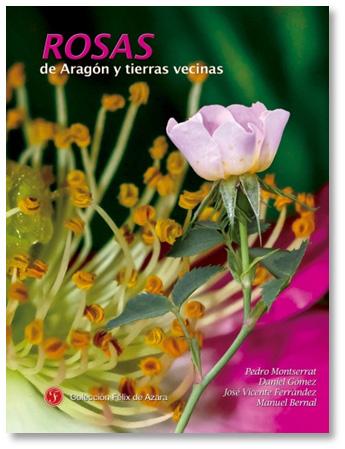 Catálogo editorial Jolube Libros en existencias Rosas de Aragón y tierras vecinas. 2ª edición corregida Pedro MONTSERRAT, Daniel GÓMEZ, José V.