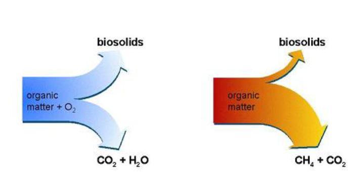Aerobio Anaerobio biosólidos biosólidos