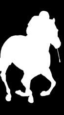 ANOTA TUS APUESTAS Para caballos y yeguas de TRES AÑOS EN ADELANTE, nacidos y criados en España, que no hayan ganado en el año. Peso: 3 años: 56 kilos; 4 años y más: 57,5 kilos.