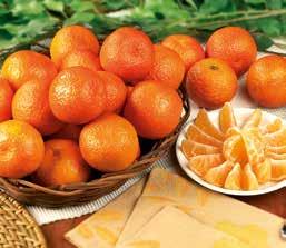 0,99 Mandarina con hoja Granel, el kg 3,99 ORIGEN: España VARIEDAD: Clemenules CATEGORÍA: 1ª
