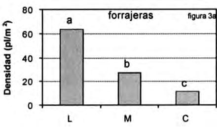 Lejana; M) Media y C) Cercana (Morici et al, 2006).