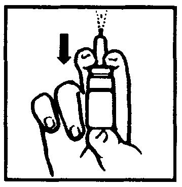 Nota: Antes de utilizar el pulverizador nasal de RHINOCORT 64 microgramos por primera vez, agitar el envase y pulsar varias veces (5-10 veces) al aire hasta que empiece a aparecer una pulverización