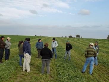 En forma participativa, se realizan ajustes en el manejo del cultivo de alfalfa en una superficie demostrativa de 50 hectáreas y se miden los resultados obtenidos.