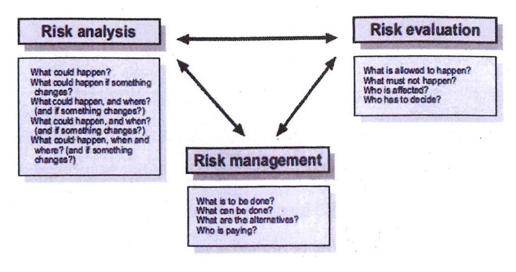 Evaluación del Riesgo El análisis de los riesgos es fundamental en la comprensión de los procesos peligrosos Existen vínculos entre diferentes riesgos naturales y el medio físico Sucesos peligrosos