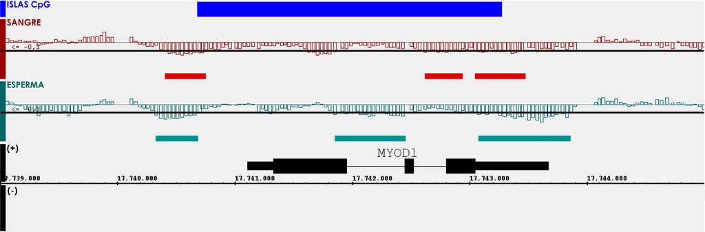 Sin embargo, estas diferencias eran similares a las que se podían observar en la isla asociada al gen MCM4, de expresión constitutiva, en el que se esperaba, por tanto, que la isla no estuviera