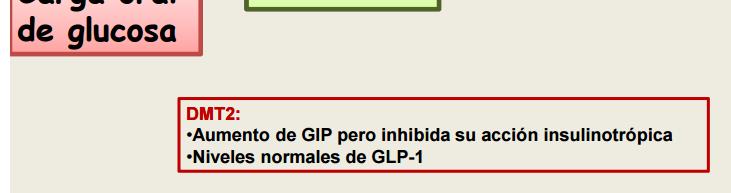 Secrecion deficiente de GLP-1 (inhibidor potente de la secreción de glucagón) con aumento paradojico de su