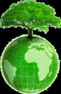 Clúster Empresarial Biomasa & Energía Consorcio de empresas con experiencia y líderes en sus respectivos sectores