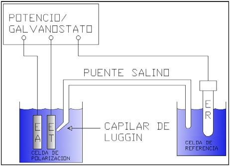 del electrodo de trabajo es medido a través del capilar de Luggin y una solución de cloruro de potasio saturado el cual sirve como puente salino con respecto al electrodo de referencia. 3.1.