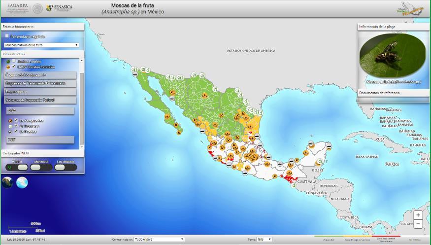 Incluye: M D F apa inámico itosanitario Bases de datos geográficas (Geodatabase).
