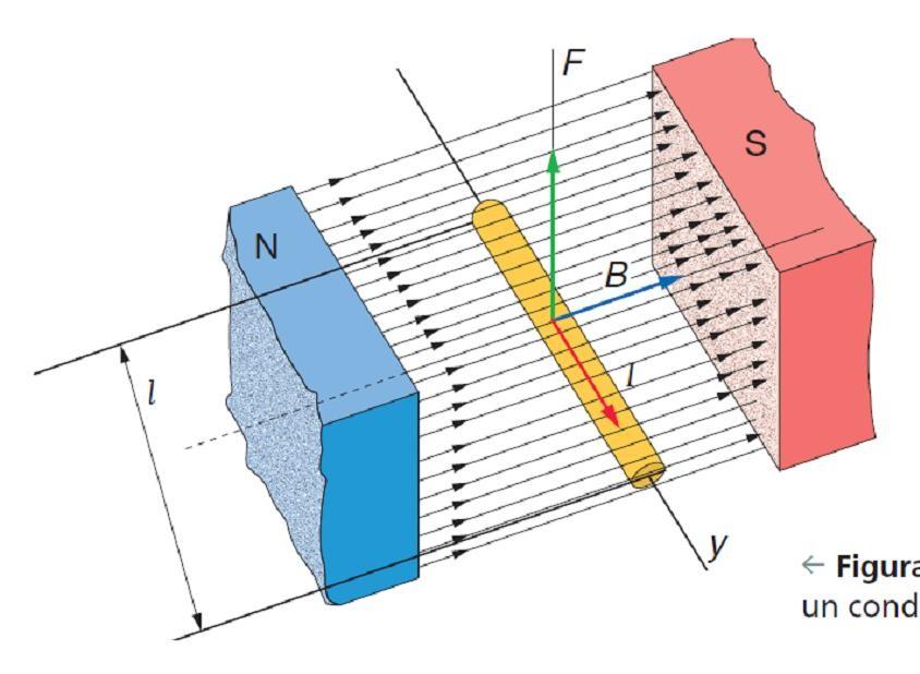 4. Fuerzas sobre corrientes situadas dentro de campos magnéticos 4.2.