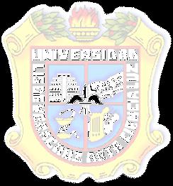 Universidad Veracruzana Área