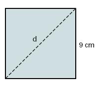 10) Calcula la diagonal de un cuadrado de 9cm