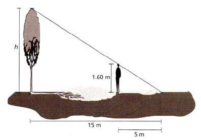 35) A las 4 pm una persona que mide 1.60m proyecta una sombra de 5m.
