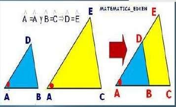 común en cada triángulo son paralelos.