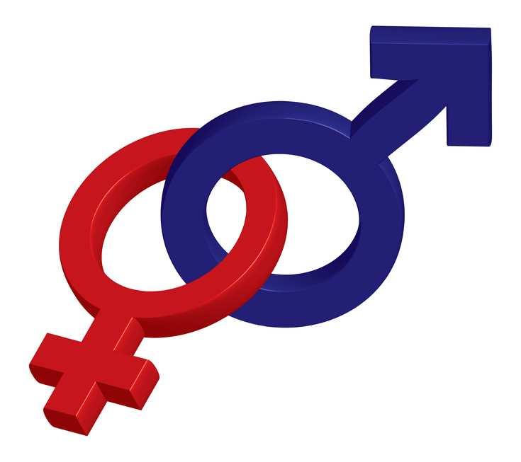 ACTIVIDADES PROGRAMADAS 2015 Diagnóstico en materia de perspectiva de género en el TFJFA.