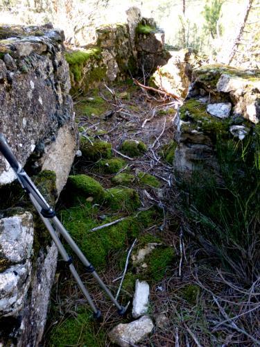 Hay trincheras por todas partes, algunas realzadas con muretes de piedras, pero no encontramos otros restos más significativos en la zona.