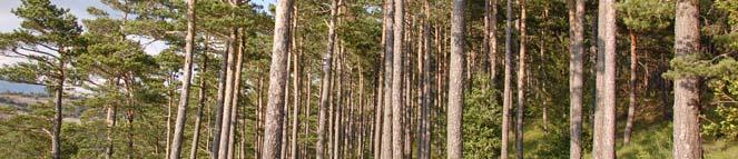 Bilgili, ili 2003). Esta disponibilidad depende, entre otros factores, de la estructura forestal del rodal.