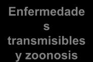 la gestión operativa y funcional Enfermedade s transmisibles y zoonosis