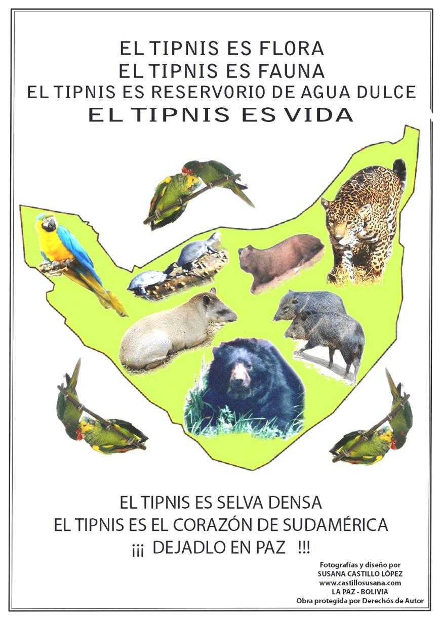 Otras fuentes de consulta adicionales señalan a las siguientes especies que habitan en el TIPNIS: el melero, el mapache, el mono nocturno, la urina, el huaso, el mono chichilo, el tejón, la paraba