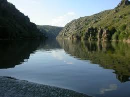 Duero. Es el río de la submeseta septentrional. Su cuenca hidrográfica es la mayor de España, aproximadamente unos 100000 Km2.