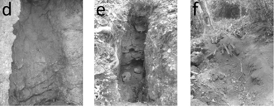 En la fotografía aparecen dos piedras regulares que los saqueadores removieron de su ubicación original. d. Fotografía del muro oeste evidenciando un posible acceso o escondite que fue sellado.