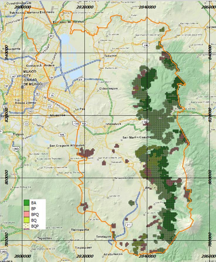 Región III-Texcoco, Fase I Para esta fase solo se estratificaron las clases INEGI para Bosques y Selvas en fase sucesional