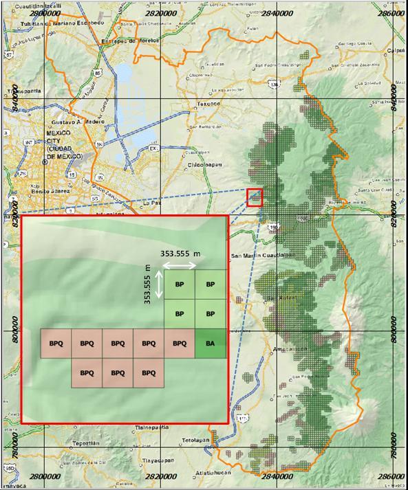 4. ALEATORIZACIÓN DE LOS PUNTOS ESTIMADOS La subdivisión de las unidades de vegetación en malla (grid), implica que se puedan