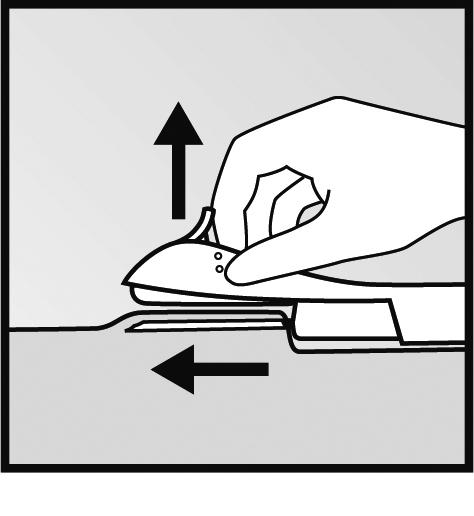 Baje el aplicador a una posición horizontal. Mientras que con la punta de la aguja levanta la piel, deslice la aguja en toda su longitud.
