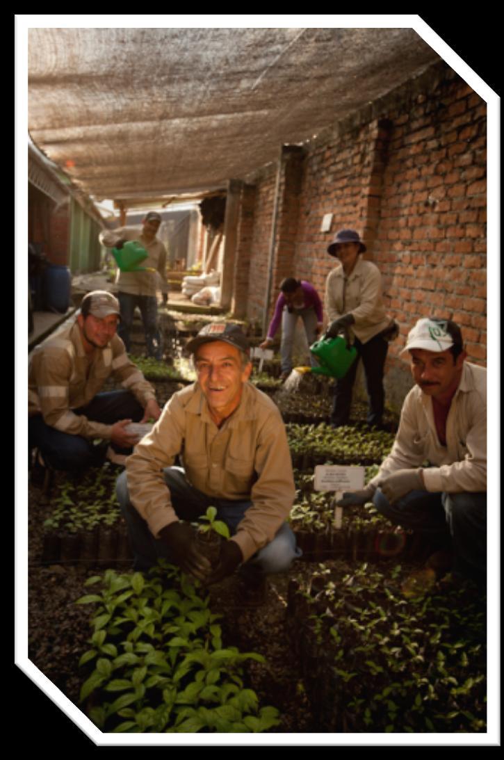 ACCIONES EN SOSTENIBILIDAD AMBIENTAL Protección y recuperación del medio ambiente en Cajamarca Áreas protegidas: 3.000 has.