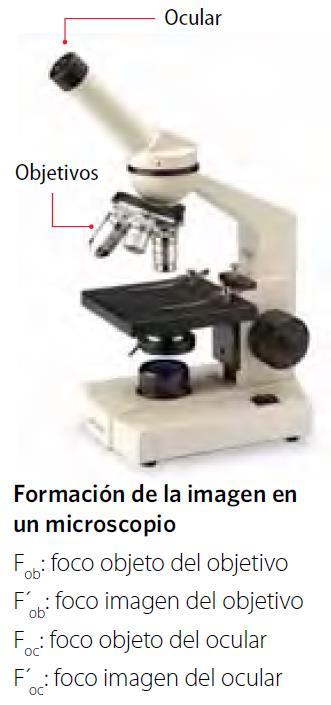 Instrumentos ópticos A continuación podrás conocer de qué manera usan la luz el microscopio, la lupa, y el telescopio. Lupa La lupa es uno de los instrumentos más sencillos.