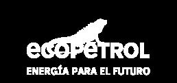 064 a nombre de ECOPETROL y la Universidad Pontificia Bolivariana.