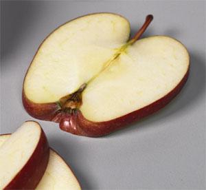 Ejemplo: determinación vida útil de manzana troceada empacada bajo diferentes atmósferas Identificación causas de deterioro manipulación Bajo ph m.o. ácido tolerantes patógenos?