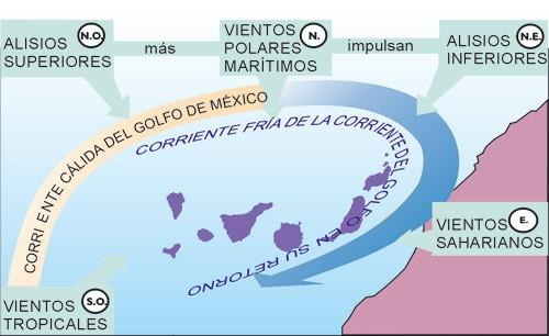 LA SITUACIÓN DE CANARIAS Zona oriental del Atlántico muy cerca del continente africano y del Trópico de Cáncer. Influencia del mar.