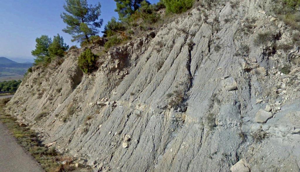 Lutitas del Cuisiense, Eoceno Inf. Terciario.