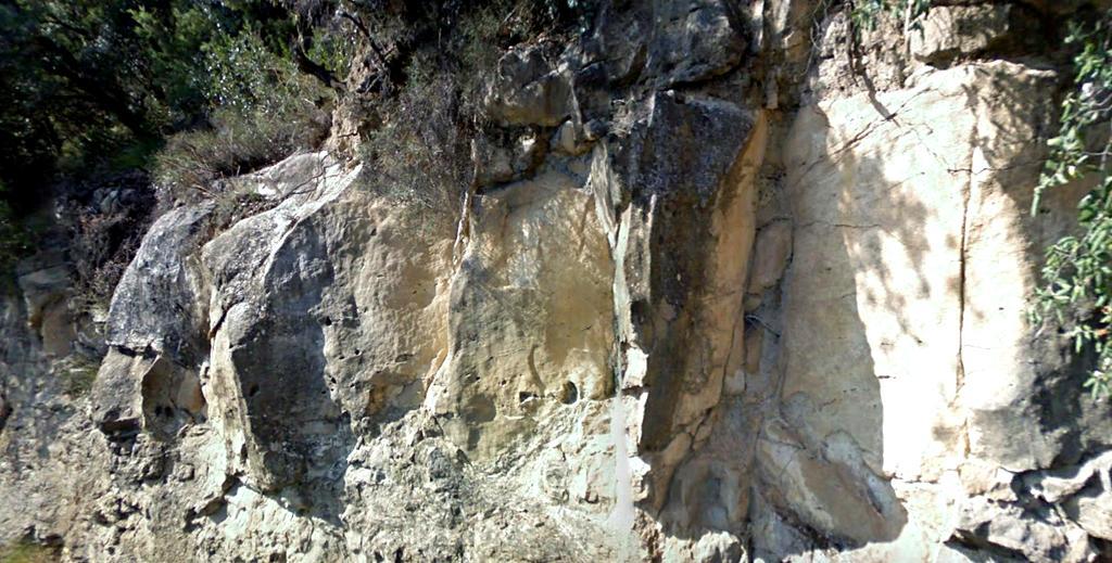 Areniscas y lutitas grises del Luteciense, Eoceno,