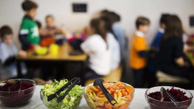 Comedores escolares sostenibles