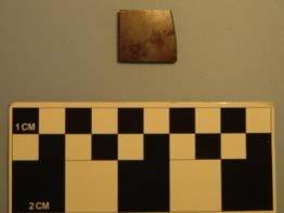 El fragmento de espejo de pirita se localizo a unos 5 cm de la superficie del terreno y