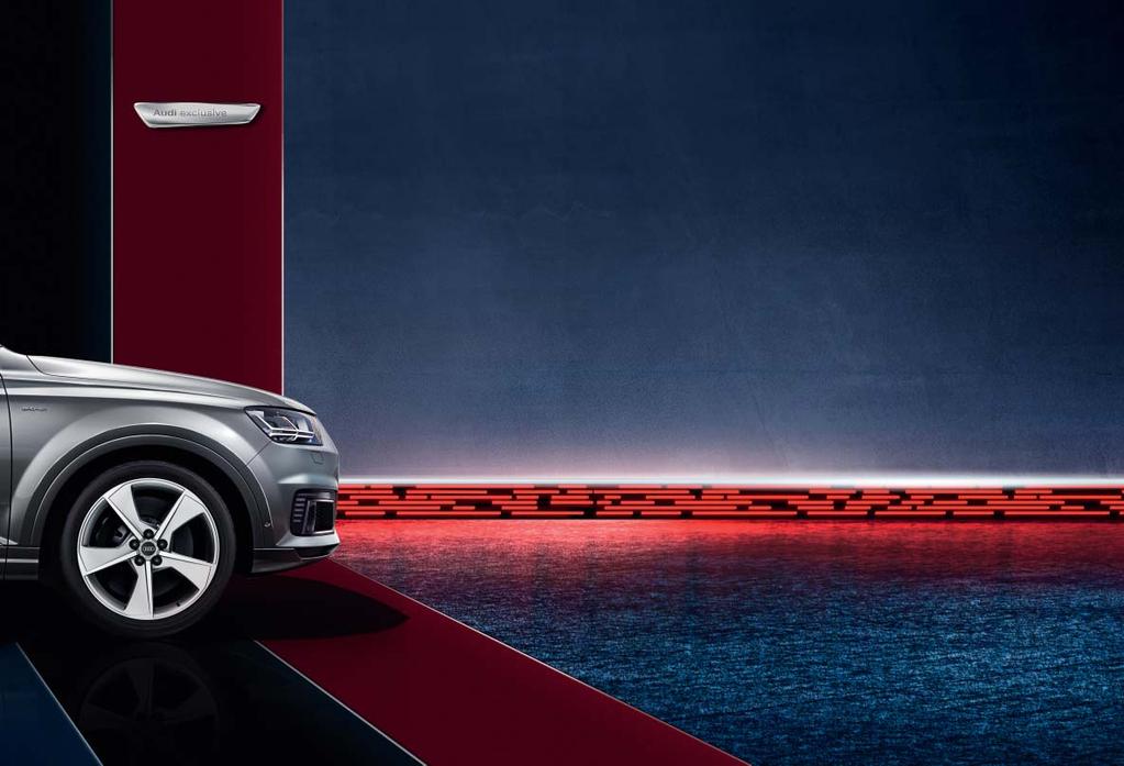 Para que usted pueda ofrecer una imagen brillante y para que su Audi esté bien protegido contra influencias medioambientales y el desgaste.