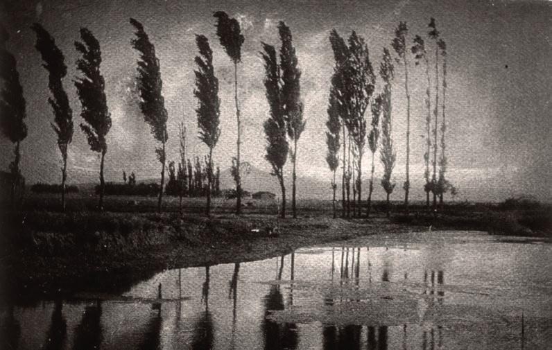La Rioja en la vida de un gran fotógrafo: José Ortiz Echagüe (25) Sin título (c. 1905). Carbón directo sobre Papel Fresson. 8 x 9,7 cm.